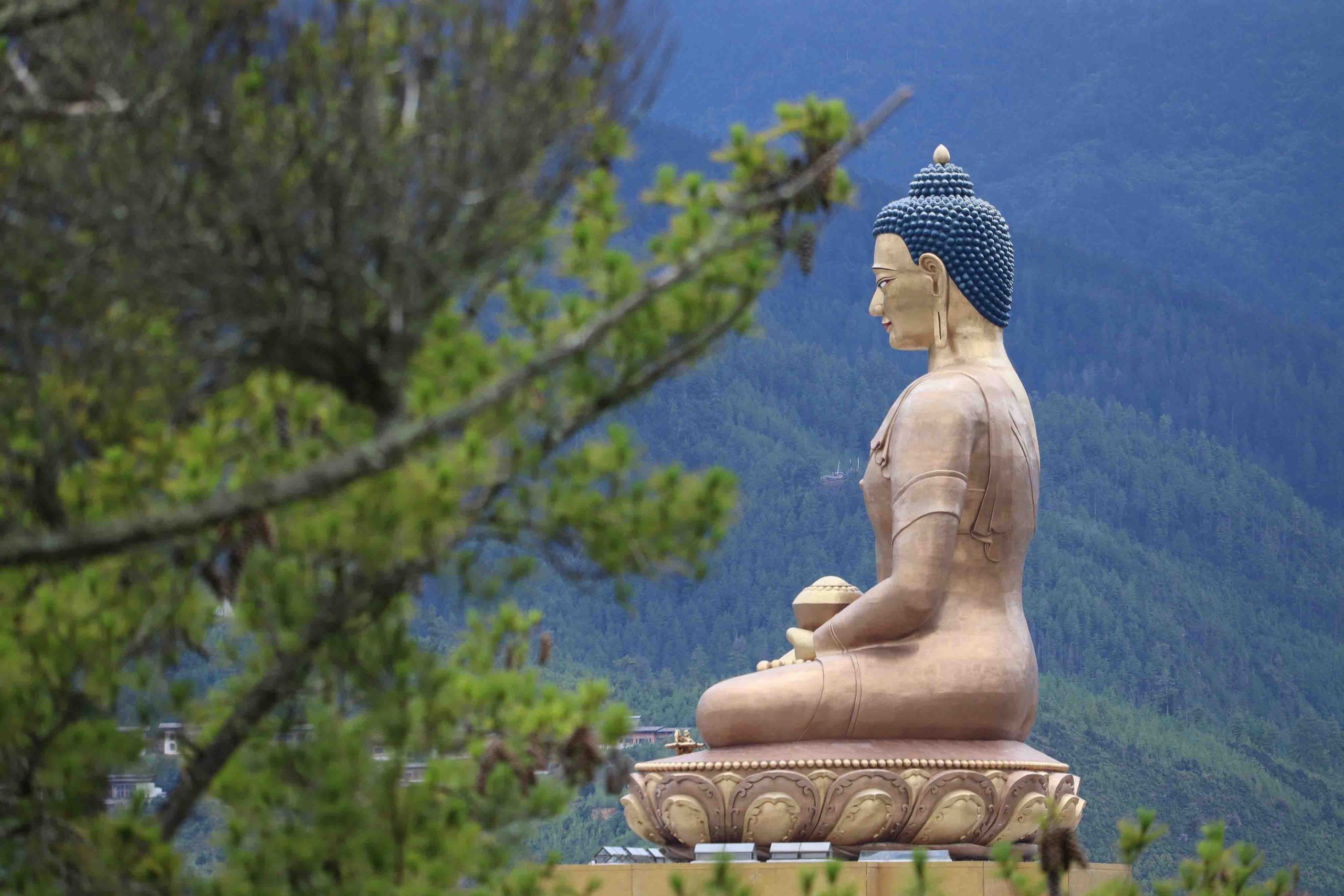 Buddha Point